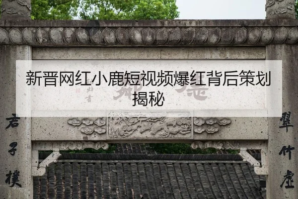 新晋网红小鹿短视频爆红背后策划揭秘